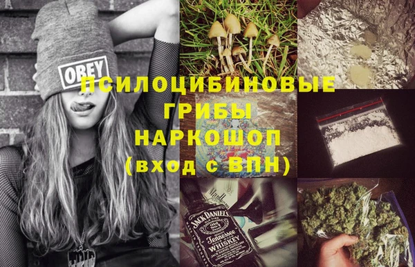дживик Арсеньев