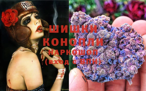 дживик Арсеньев