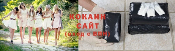 дживик Арсеньев
