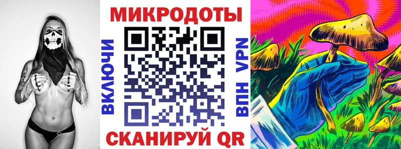 Купить где  Сураж  Галлюциногенные грибы Psilocybe 